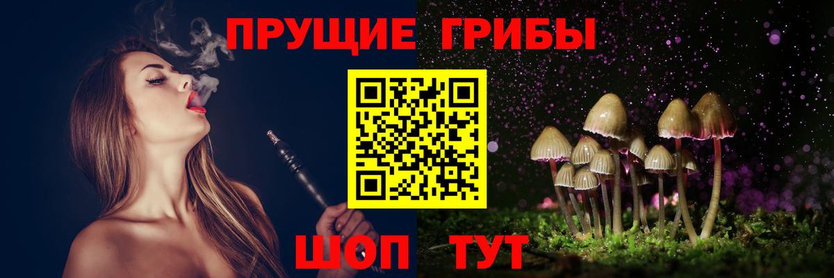 Псилоцибиновые грибы GOLDEN TEACHER Одинцово